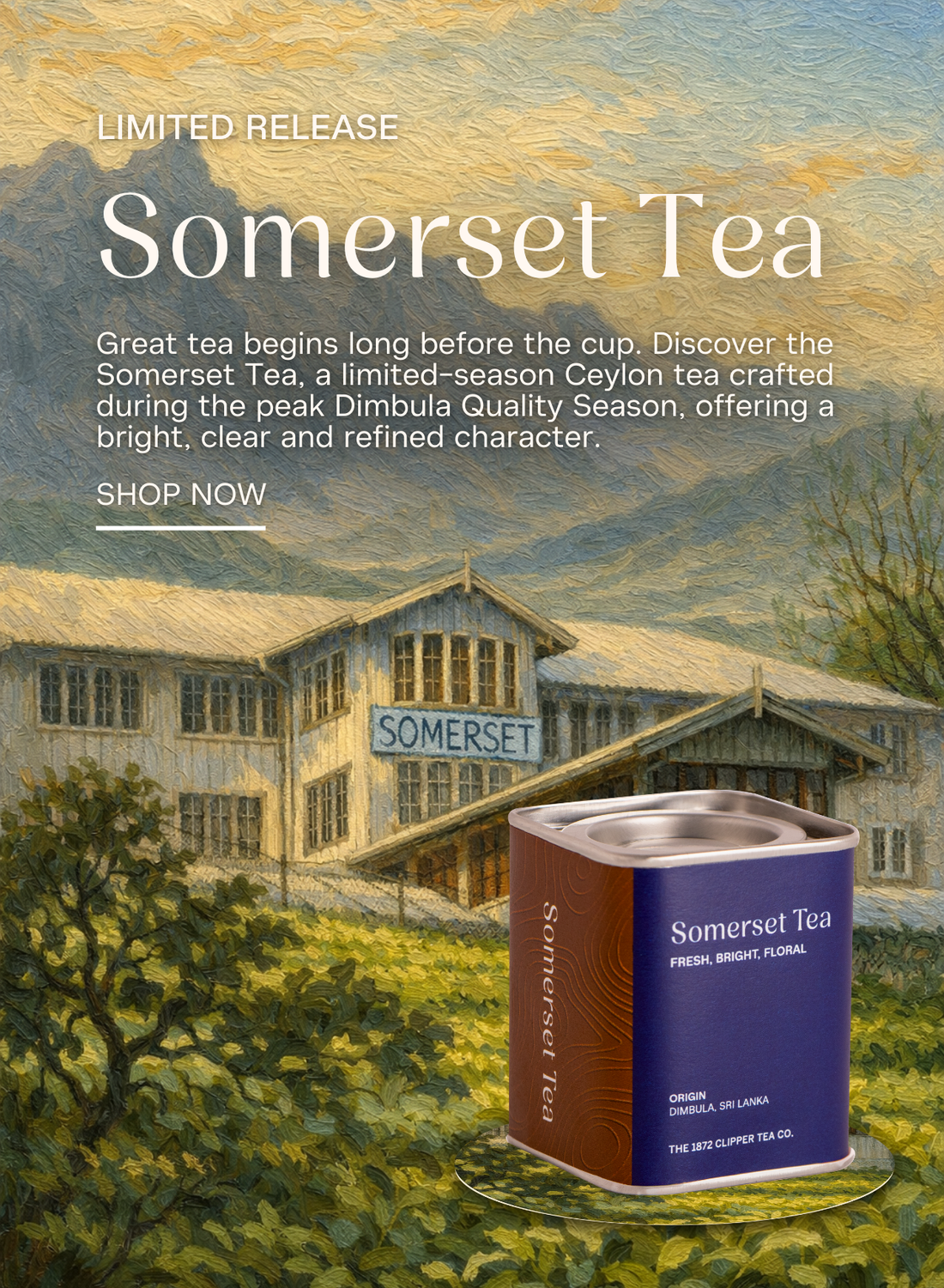 果物 mint 1872年剪刀茶– The 1872 Clipper Tea Co.